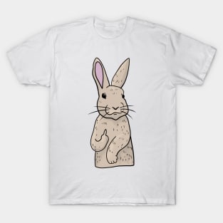 Grumpy Rabbit Holding Middle finger funny gift T-Shirt